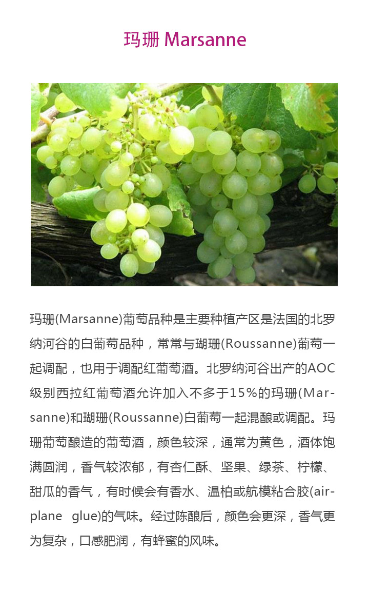 玛珊.jpg